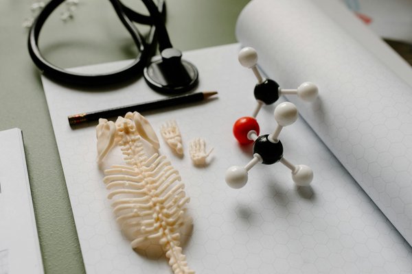 Guide Pratique pour Élaborer une Alimentation Équilibrée : Les Secrets des Macronutriments pour Maigrir Efficacement